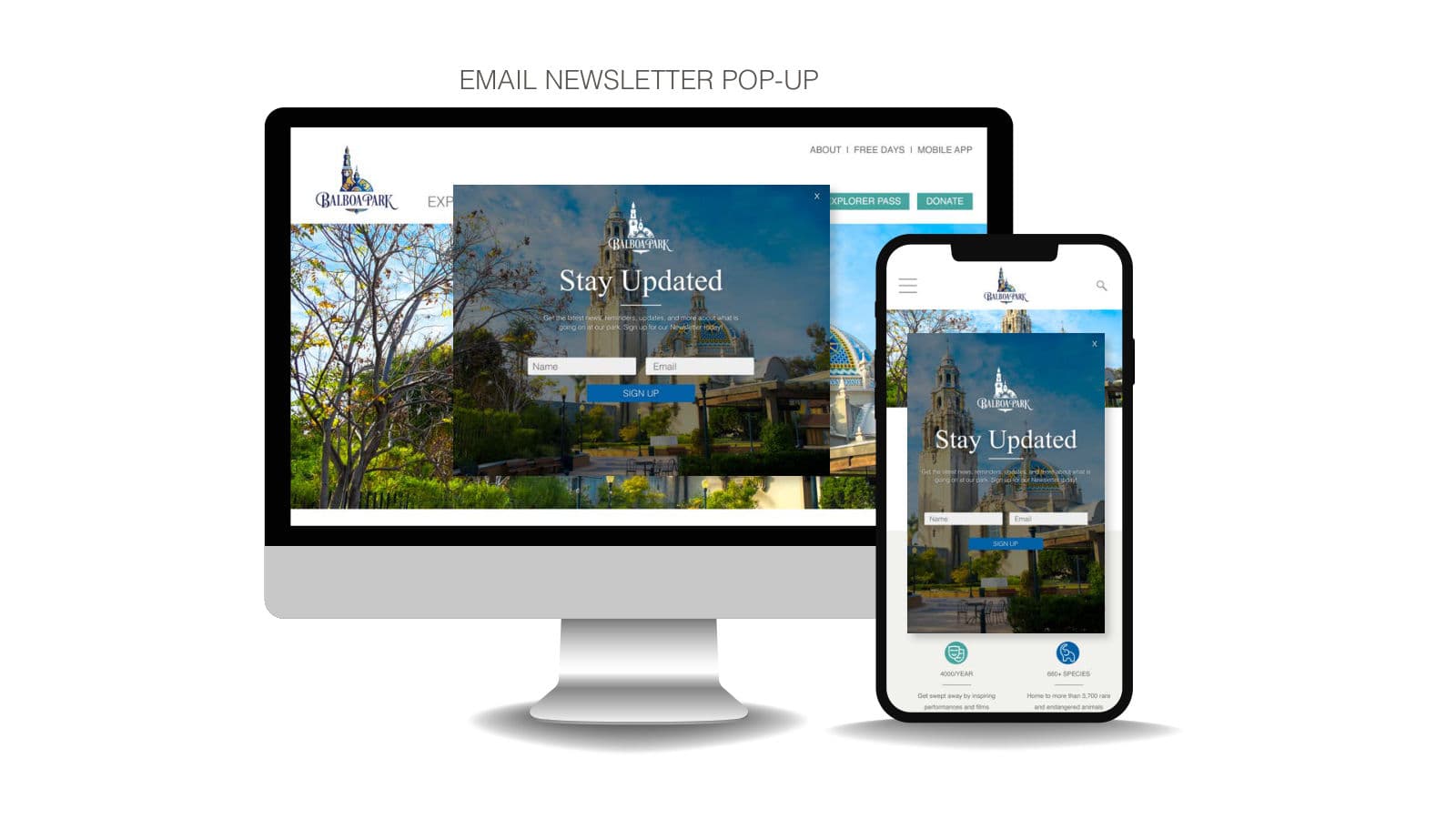 Proposed email newsletter pop-up