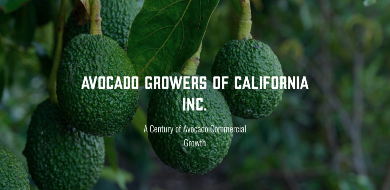 The Avocado Growers of California website, designed by i9media