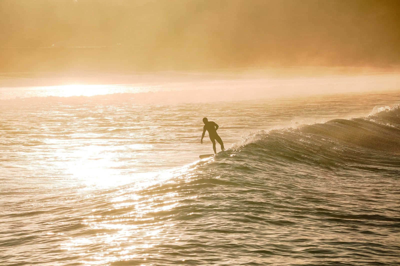 A surfer on a golden-hour wave