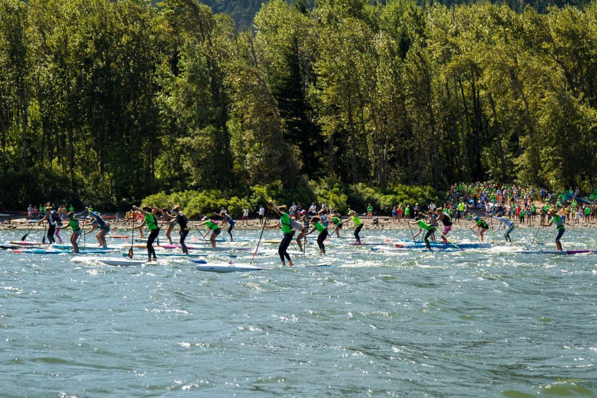 The mass start of the Gorge Paddle Challenge, paddlers in a line against a forested shore